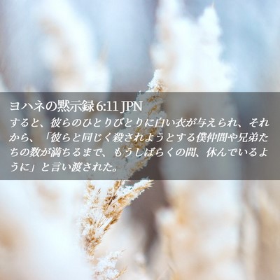 Picture 02 - ヨハネの黙示録 6:11 JPN - すると、彼らのひとりびとりに白い - Bible Verse Picture