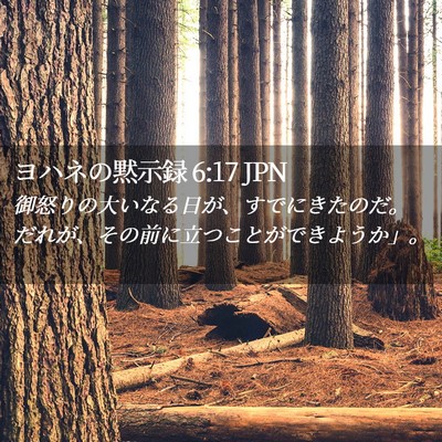 Picture 02 - ヨハネの黙示録 6:17 JPN - 御怒りの大いなる日が、すでにきた - Bible Verse Picture