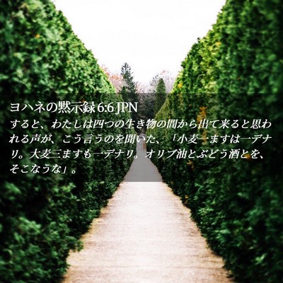 Picture 02 - ヨハネの黙示録 6:6 JPN - すると、わたしは四つの生き物の間 - Bible Verse Picture