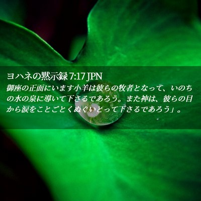 Picture 02 - ヨハネの黙示録 7:17 JPN - 御座の正面にいます小羊は彼らの牧 - Bible Verse Picture