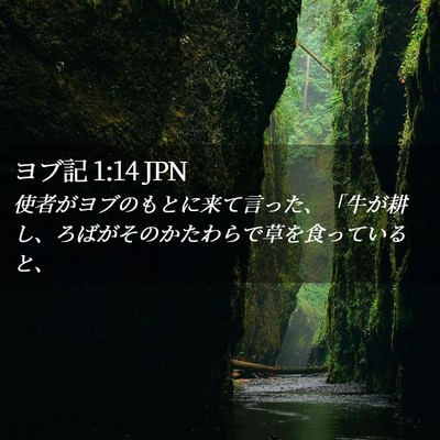 Picture 02 - ヨブ記 1:14 JPN - 使者がヨブのもとに来て言った、「 - Bible Verse Picture