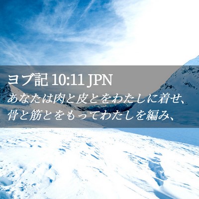 Picture 02 - ヨブ記 10:11 JPN - あなたは肉と皮とをわたしに着せ、 - Bible Verse Picture