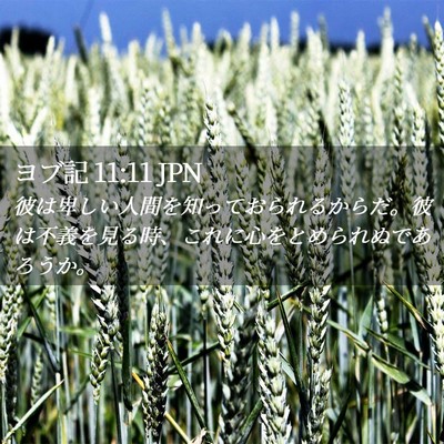 Picture 02 - ヨブ記 11:11 JPN - 彼は卑しい人間を知っておられるか - Bible Verse Picture