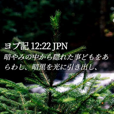 Picture 02 - ヨブ記 12:22 JPN - 暗やみの中から隠れた事どもをあら - Bible Verse Picture