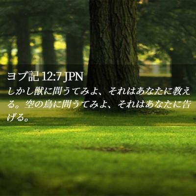 Picture 02 - ヨブ記 12:7 JPN - しかし獣に問うてみよ、それはあな - Bible Verse Picture