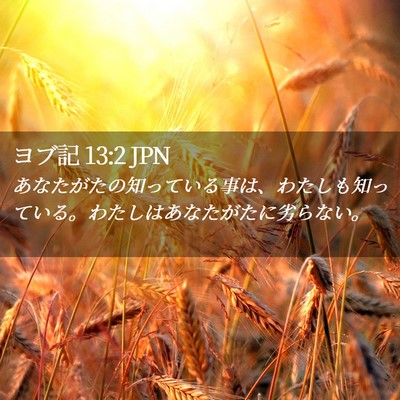 Picture 02 - ヨブ記 13:2 JPN - あなたがたの知っている事は、わた - Bible Verse Picture