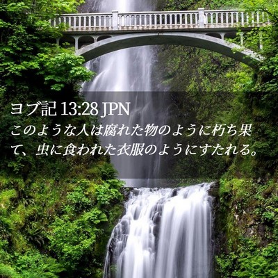 Picture 02 - ヨブ記 13:28 JPN - このような人は腐れた物のように朽 - Bible Verse Picture