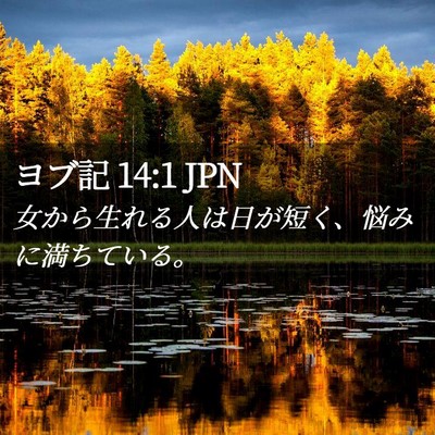 Picture 02 - ヨブ記 14:1 JPN - 女から生れる人は日が短く、悩みに - Bible Verse Picture