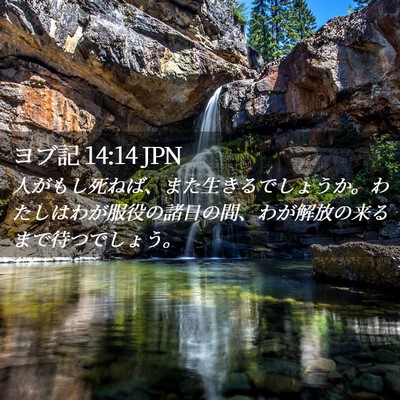 Picture 02 - ヨブ記 14:14 JPN - 人がもし死ねば、また生きるでしょ - Bible Verse Picture