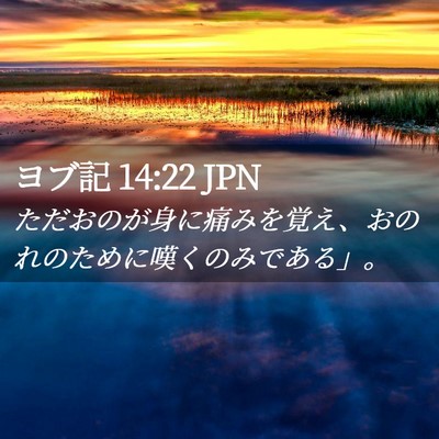 Picture 02 - ヨブ記 14:22 JPN - ただおのが身に痛みを覚え、おのれ - Bible Verse Picture