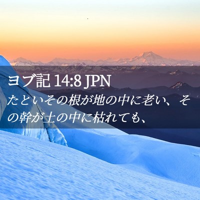 Picture 02 - ヨブ記 14:8 JPN - たといその根が地の中に老い、その - Bible Verse Picture