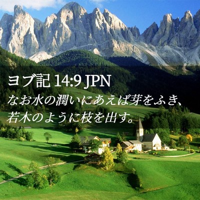 Picture 02 - ヨブ記 14:9 JPN - なお水の潤いにあえば芽をふき、若 - Bible Verse Picture