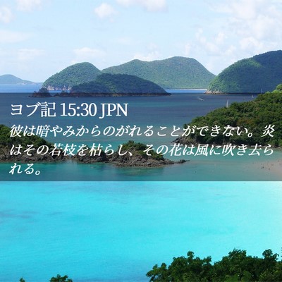 Picture 02 - ヨブ記 15:30 JPN - 彼は暗やみからのがれることができ - Bible Verse Picture