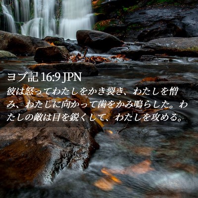 Picture 02 - ヨブ記 16:9 JPN - 彼は怒ってわたしをかき裂き、わた - Bible Verse Picture
