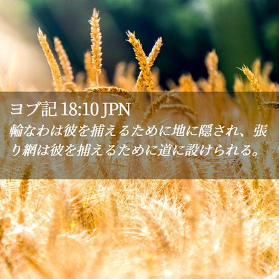 Picture 02 - ヨブ記 18:10 JPN - 輪なわは彼を捕えるために地に隠さ - Bible Verse Picture