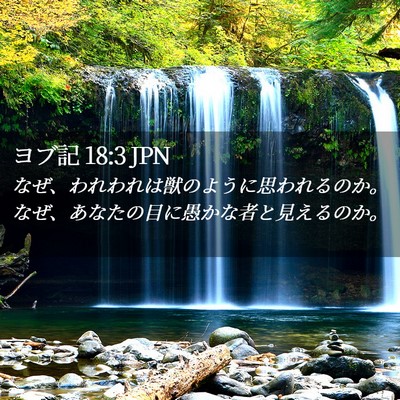 Picture 02 - ヨブ記 18:3 JPN - なぜ、われわれは獣のように思われ - Bible Verse Picture