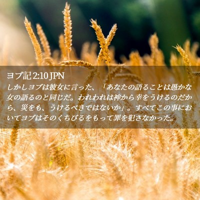 Picture 02 - ヨブ記 2:10 JPN - しかしヨブは彼女に言った、「あな - Bible Verse Picture