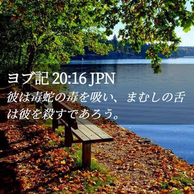 Picture 02 - ヨブ記 20:16 JPN - 彼は毒蛇の毒を吸い、まむしの舌は - Bible Verse Picture