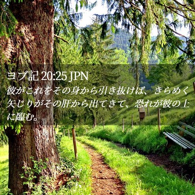 Picture 02 - ヨブ記 20:25 JPN - 彼がこれをその身から引き抜けば、 - Bible Verse Picture