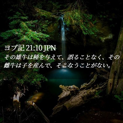 Picture 02 - ヨブ記 21:10 JPN - その雄牛は種を与えて、誤ることな - Bible Verse Picture