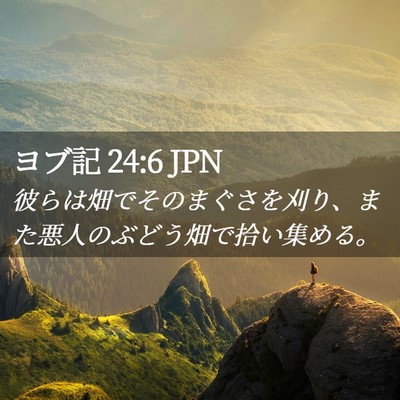 Picture 02 - ヨブ記 24:6 JPN - 彼らは畑でそのまぐさを刈り、また - Bible Verse Picture