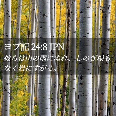 Picture 02 - ヨブ記 24:8 JPN - 彼らは山の雨にぬれ、しのぎ場もな - Bible Verse Picture