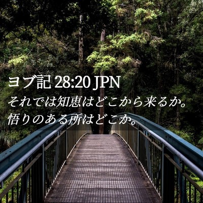 Picture 02 - ヨブ記 28:20 JPN - それでは知恵はどこから来るか。悟 - Bible Verse Picture