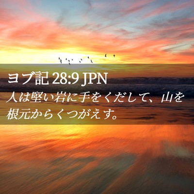 Picture 02 - ヨブ記 28:9 JPN - 人は堅い岩に手をくだして、山を根 - Bible Verse Picture