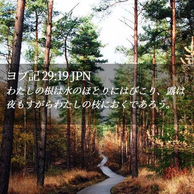 Picture 02 - ヨブ記 29:19 JPN - わたしの根は水のほとりにはびこり - Bible Verse Picture