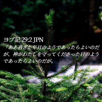 Picture 02 - ヨブ記 29:2 JPN - 「ああ過ぎた年月のようであったら - Bible Verse Picture