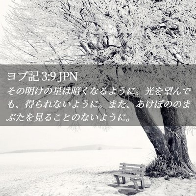 Picture 02 - ヨブ記 3:9 JPN - その明けの星は暗くなるように。光 - Bible Verse Picture