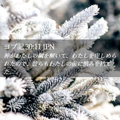 Picture 02 - ヨブ記 30:11 JPN - 神がわたしの綱を解いて、わたしを - Bible Verse Picture