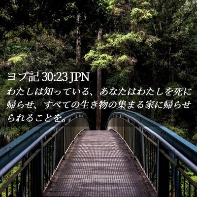 Picture 02 - ヨブ記 30:23 JPN - わたしは知っている、あなたはわた - Bible Verse Picture
