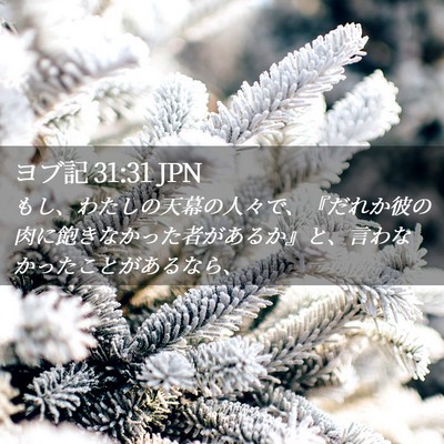 Picture 02 - ヨブ記 31:31 JPN - もし、わたしの天幕の人々で、『だ - Bible Verse Picture