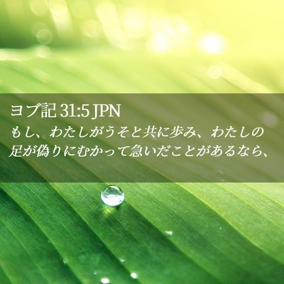 Picture 02 - ヨブ記 31:5 JPN - もし、わたしがうそと共に歩み、わ - Bible Verse Picture