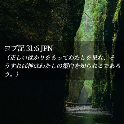 Picture 02 - ヨブ記 31:6 JPN - （正しいはかりをもってわたしを量 - Bible Verse Picture