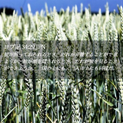 Picture 02 - ヨブ記 34:29 JPN - 彼が黙っておられるとき、だれが非 - Bible Verse Picture