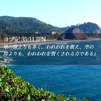 Picture 02 - ヨブ記 35:11 JPN - 地の獣よりも多く、われわれを教え - Bible Verse Picture