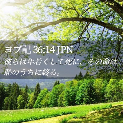 Picture 02 - ヨブ記 36:14 JPN - 彼らは年若くして死に、その命は恥 - Bible Verse Picture