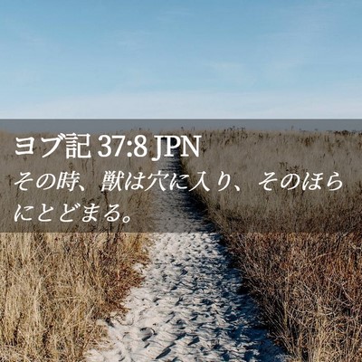 Picture 02 - ヨブ記 37:8 JPN - その時、獣は穴に入り、そのほらに - Bible Verse Picture