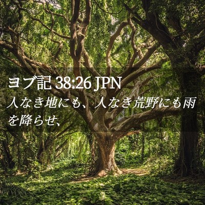 Picture 02 - ヨブ記 38:26 JPN - 人なき地にも、人なき荒野にも雨を - Bible Verse Picture