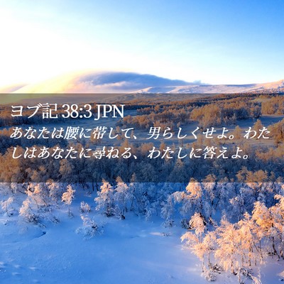 Picture 02 - ヨブ記 38:3 JPN - あなたは腰に帯して、男らしくせよ - Bible Verse Picture