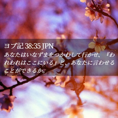 Picture 02 - ヨブ記 38:35 JPN - あなたはいなずまをつかわして行か - Bible Verse Picture