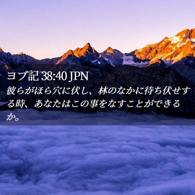 Picture 02 - ヨブ記 38:40 JPN - 彼らがほら穴に伏し、林のなかに待 - Bible Verse Picture