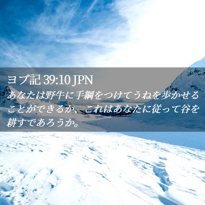 Picture 02 - ヨブ記 39:10 JPN - あなたは野牛に手綱をつけてうねを - Bible Verse Picture