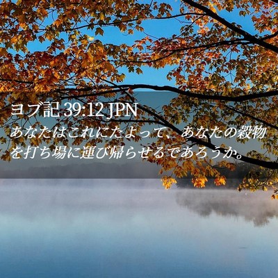 Picture 02 - ヨブ記 39:12 JPN - あなたはこれにたよって、あなたの - Bible Verse Picture