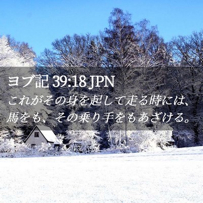 Picture 02 - ヨブ記 39:18 JPN - これがその身を起して走る時には、 - Bible Verse Picture