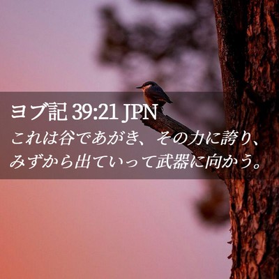 Picture 02 - ヨブ記 39:21 JPN - これは谷であがき、その力に誇り、 - Bible Verse Picture