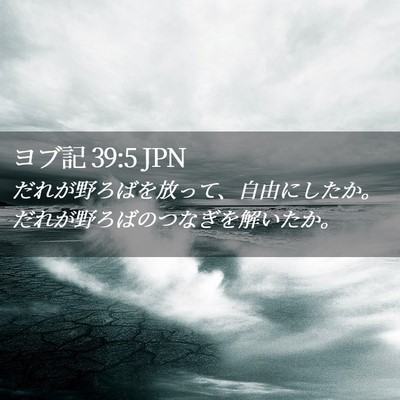 Picture 02 - ヨブ記 39:5 JPN - だれが野ろばを放って、自由にした - Bible Verse Picture