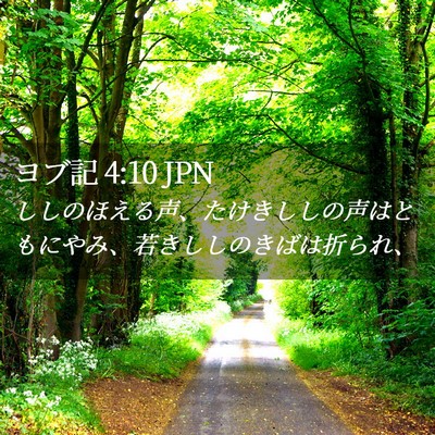 Picture 02 - ヨブ記 4:10 JPN - ししのほえる声、たけきししの声は - Bible Verse Picture